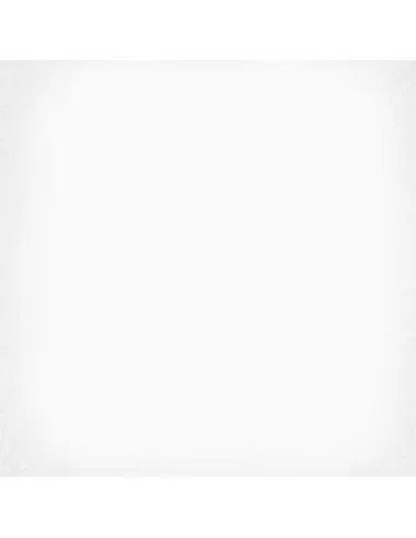 1900 Blanco 20 x 20