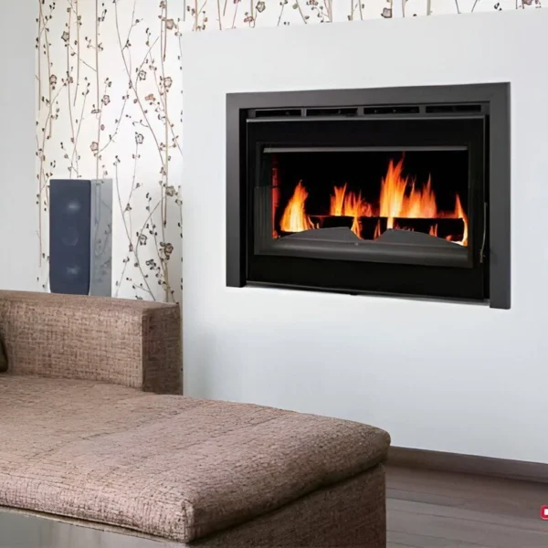 Insert Leña Hierro fundido Bronpi Madrid Visión